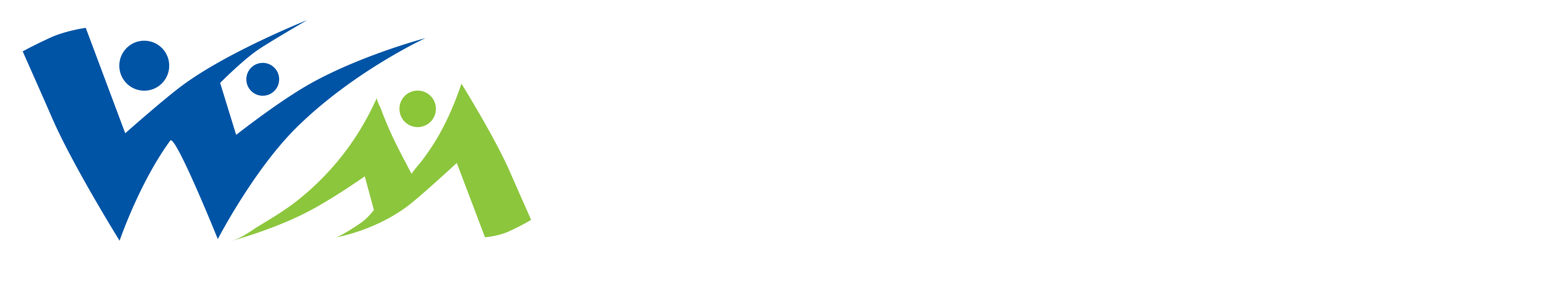IPS WM Bienestar Integral